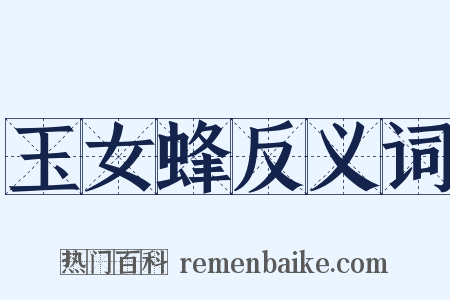 玉女蜂反义词是什么意思的图片
